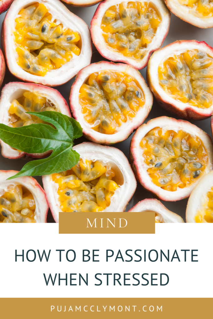 How To Be Passionate Under High Levels Of Stress - Puja McClymont